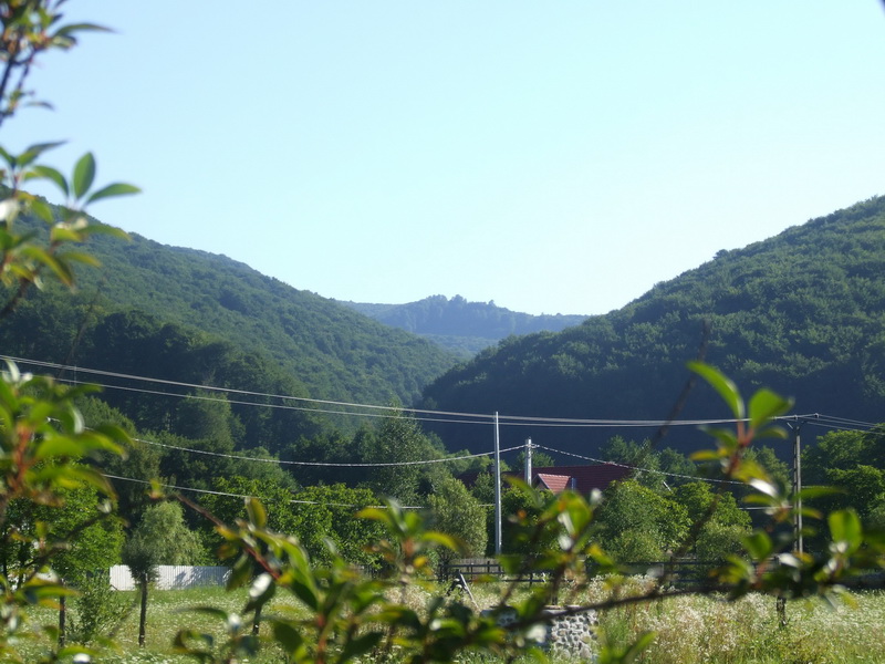 [DSCF4736.jpg]