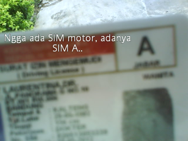 [image-upload-5-771925.jpg]