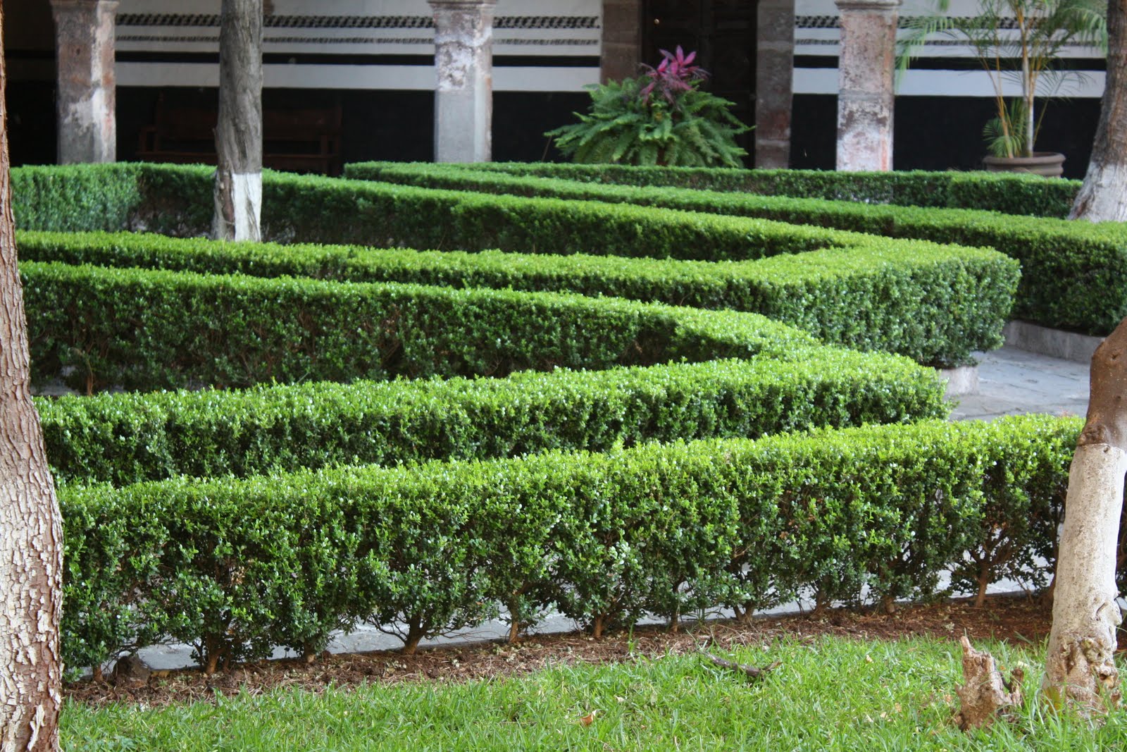earth friendly landscapes PLANTING WITH HEDGES IN CALIFORNIA