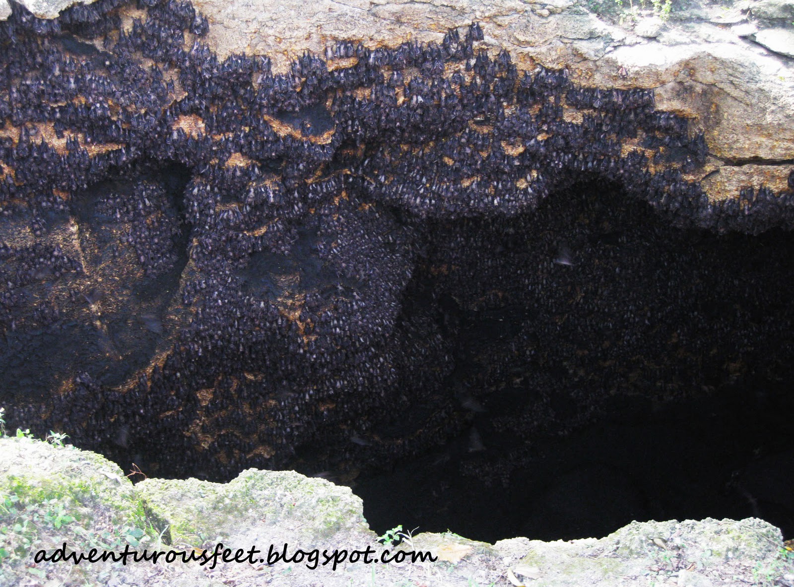 Adventurous Feet Part7 The Davao Experience Monfort Bat Cave in Samal Island