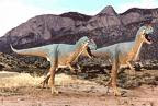 Maiasaurus!!!