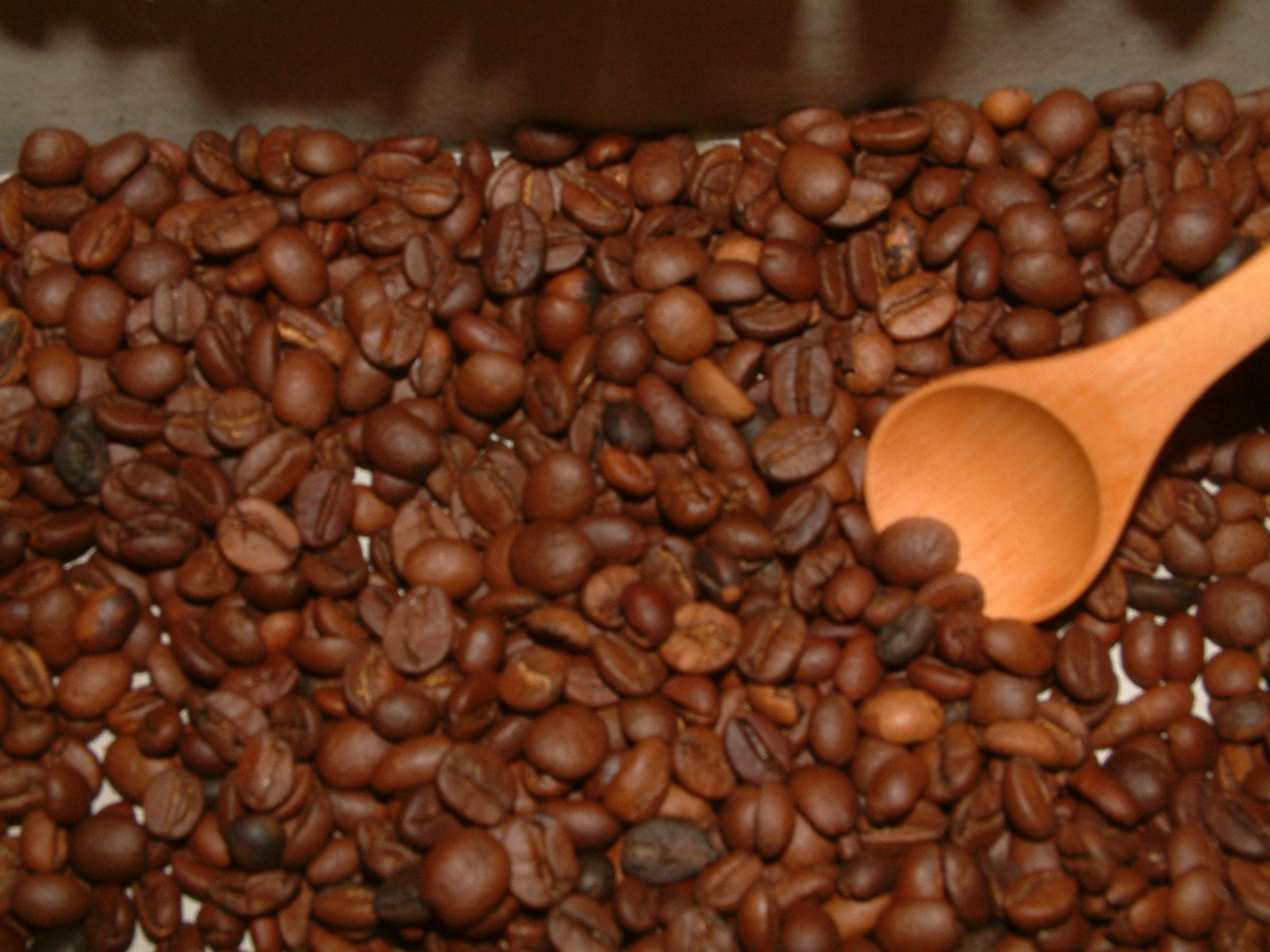 [DSCF0220.JPG]