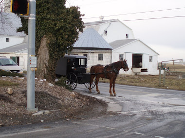 Amish in Lancaster