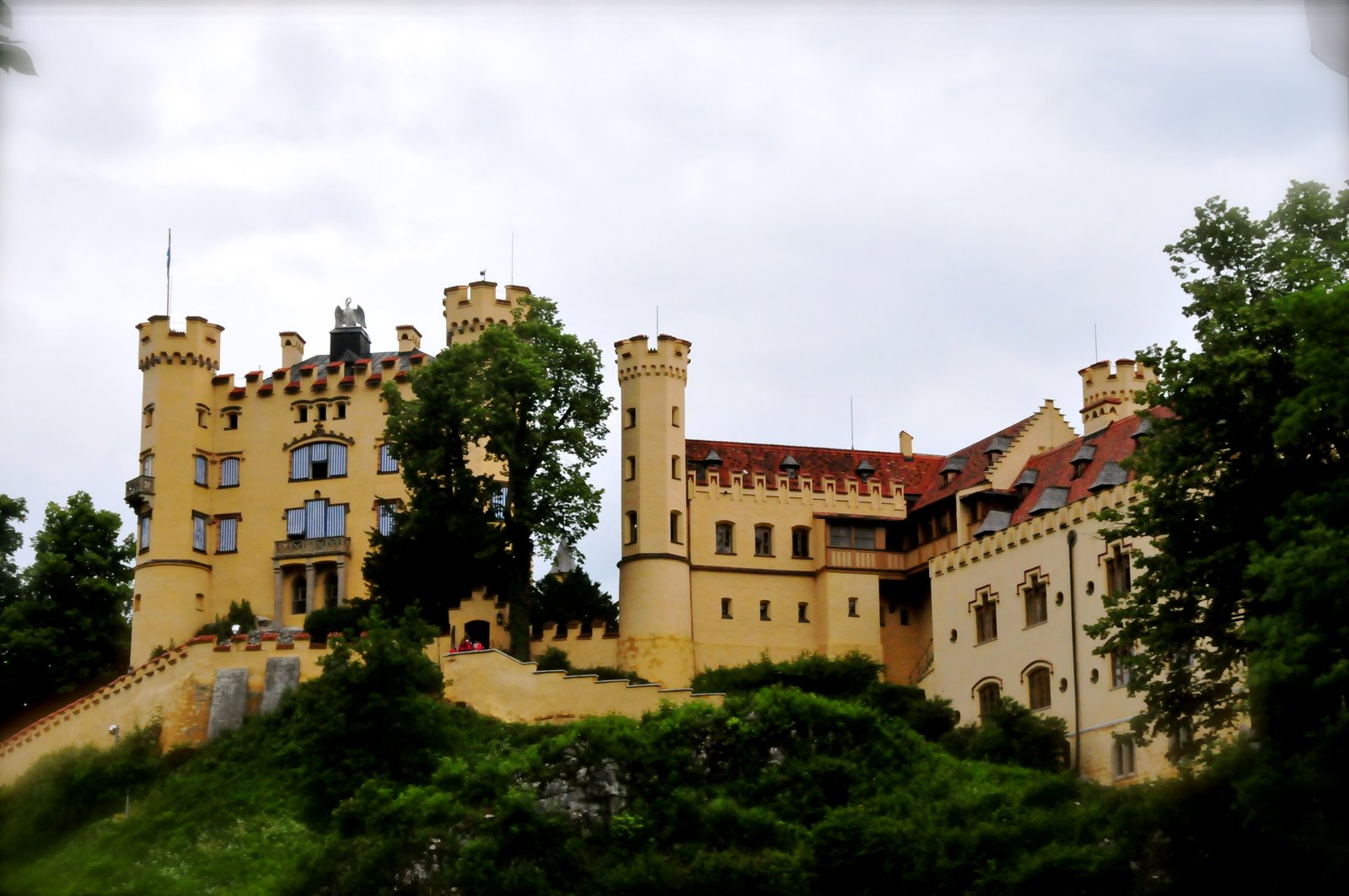 [DSC_9620.JPG]