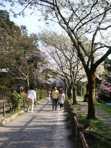 [14-walk+of+philosophy.jpg]