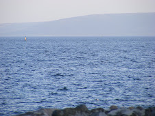 view from Salt Hill near Galway