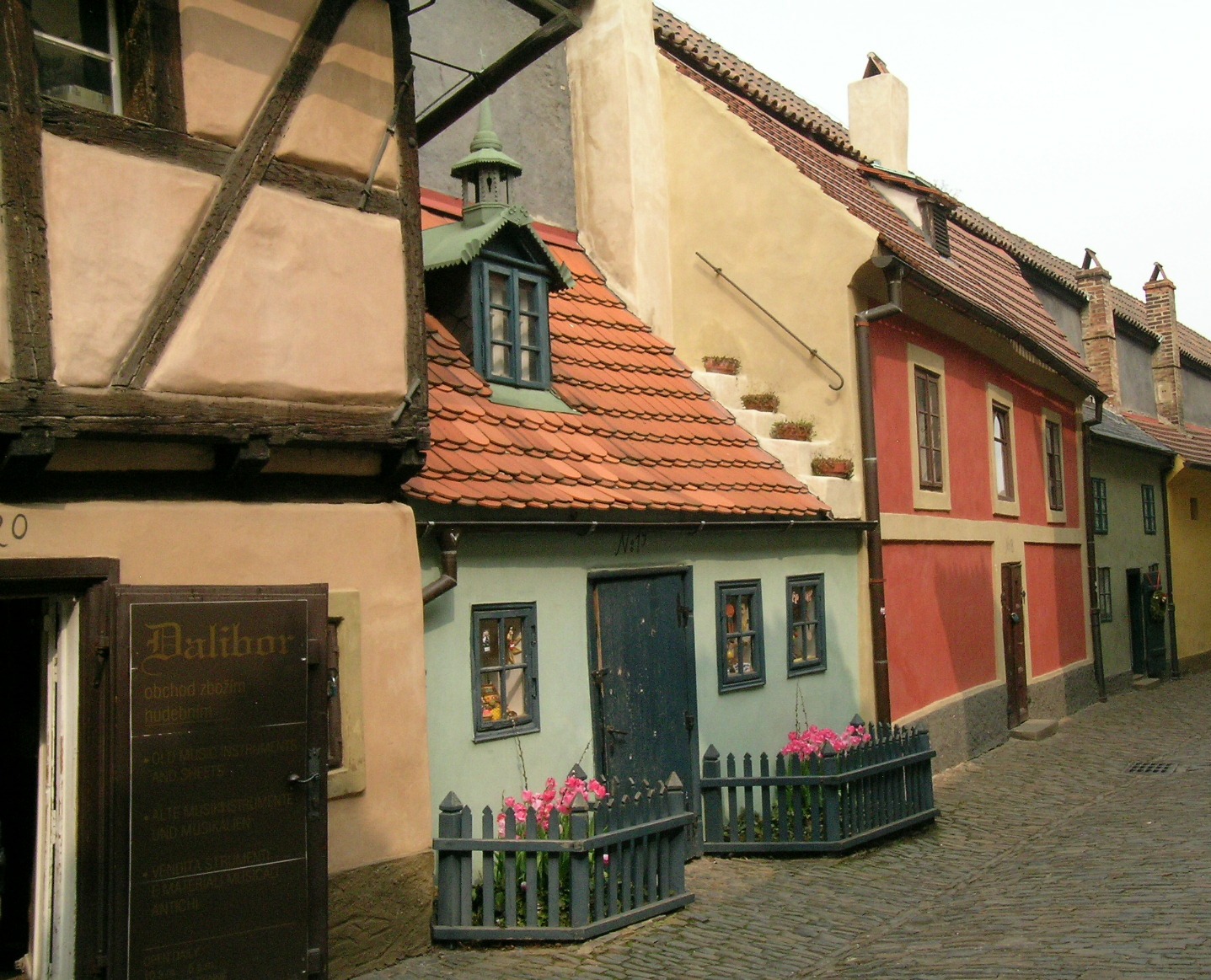 [DSCN3272a.JPG]