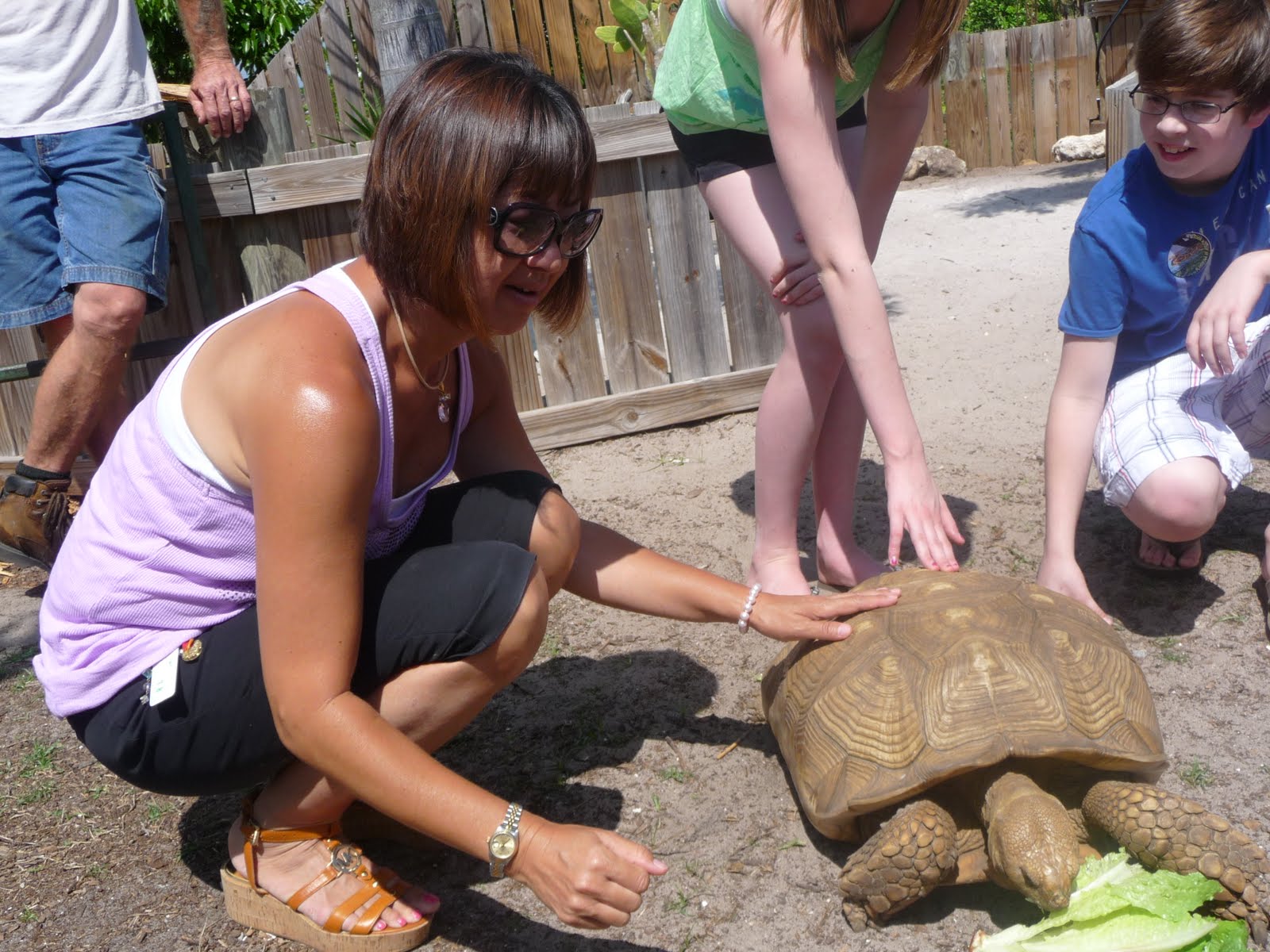 Justin lieber essay 08 picture