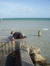 Blogger: User Profile: Stew Mag...