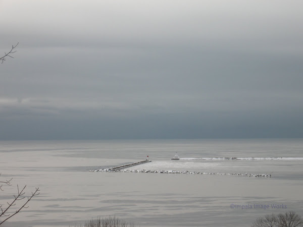 Lake Erie: January 4, 2010 - 12:10 PM
