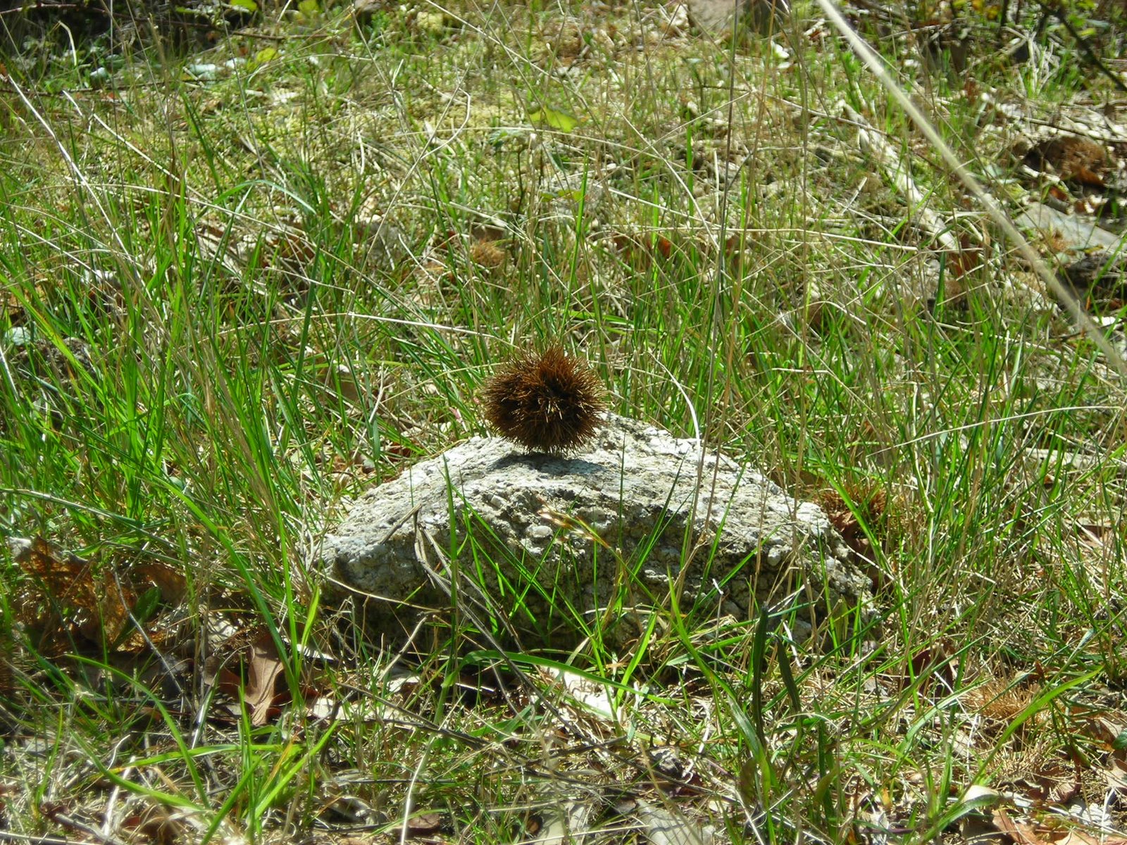 [DSCN3819.JPG]