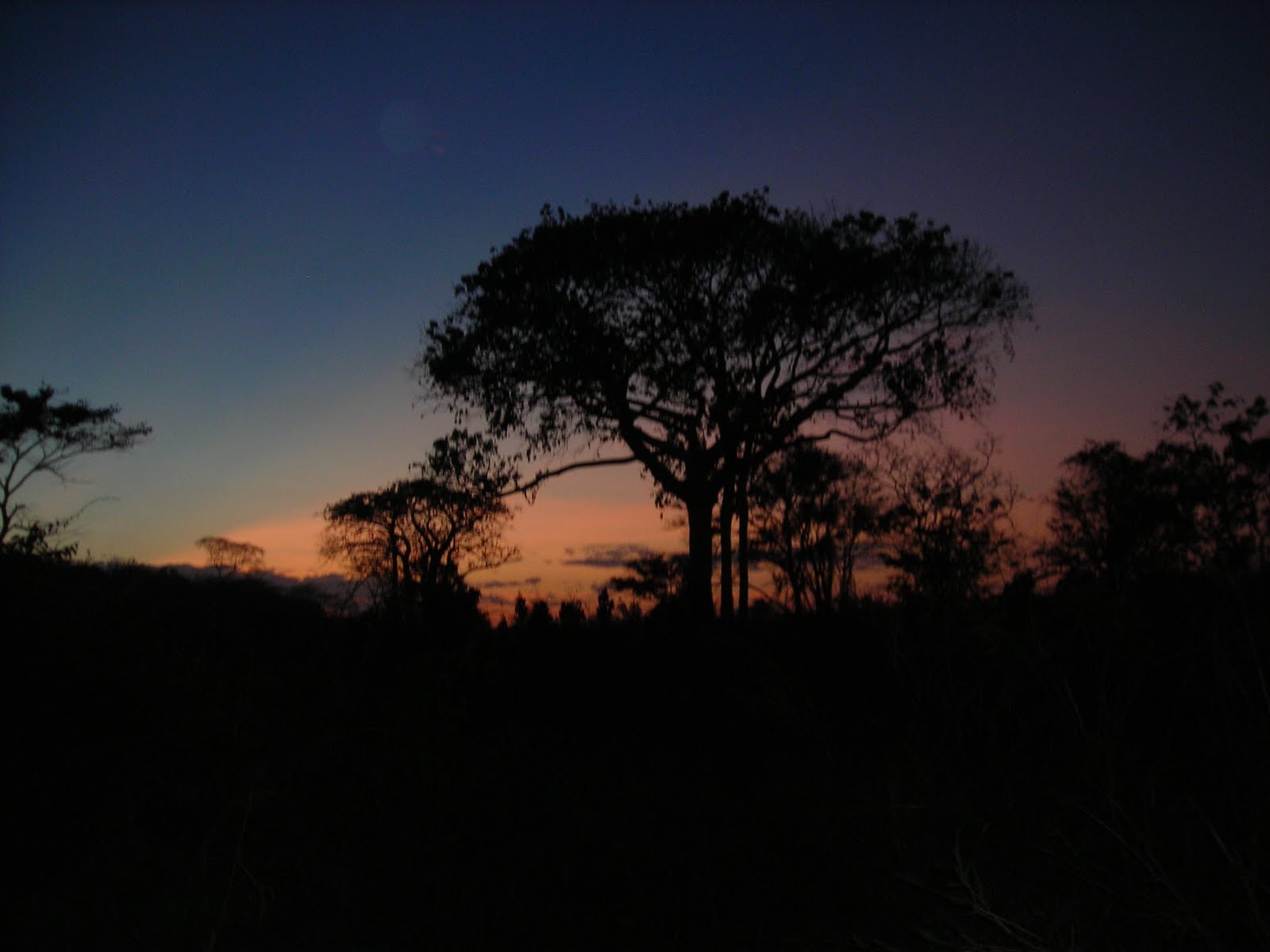 [DSCN2348.JPG]