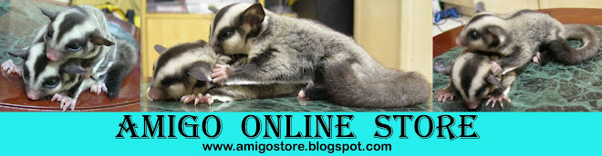 Amigo Online Store