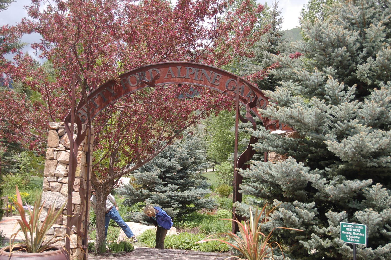 Jo Jones Traveling Lady Betty Ford Alpine Garden