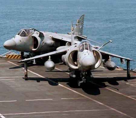 [450-Royal_Navy_Sea_Harrier_FA-2.jpg]