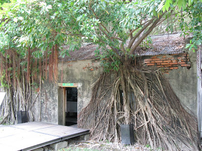 安平樹屋