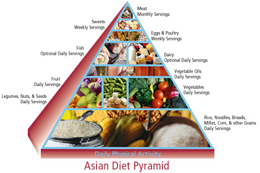 food guide pyramid: 2011