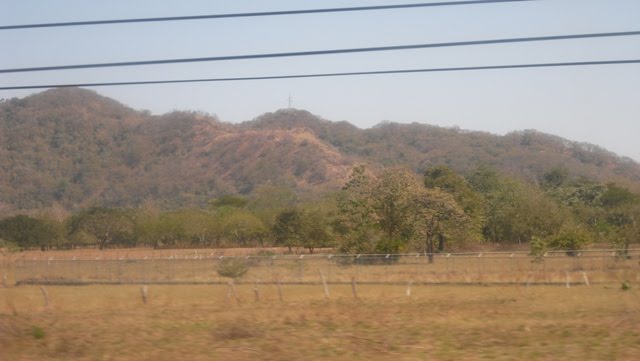 [CIMG0174.JPG]