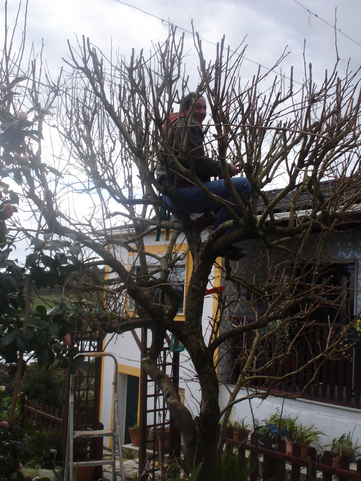 [20100207_3.JPG]