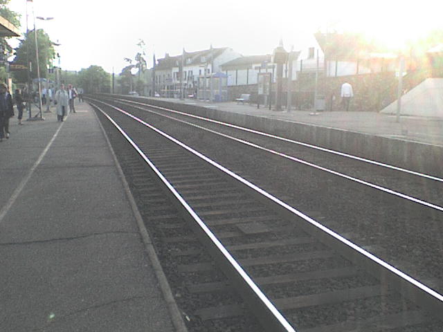 [DSC00036-714909.JPG]