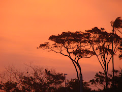 A Cor do Céu