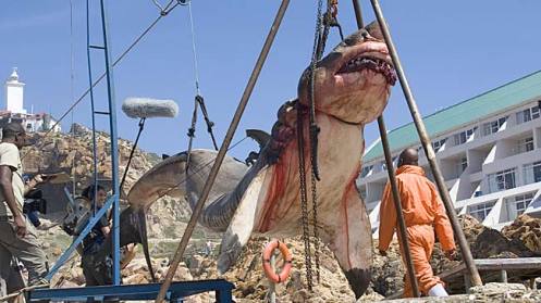 Fotos de la muerte de el cazador de cocodrilos 9 Fotos de la muerte de el cazador de cocodrilos 14