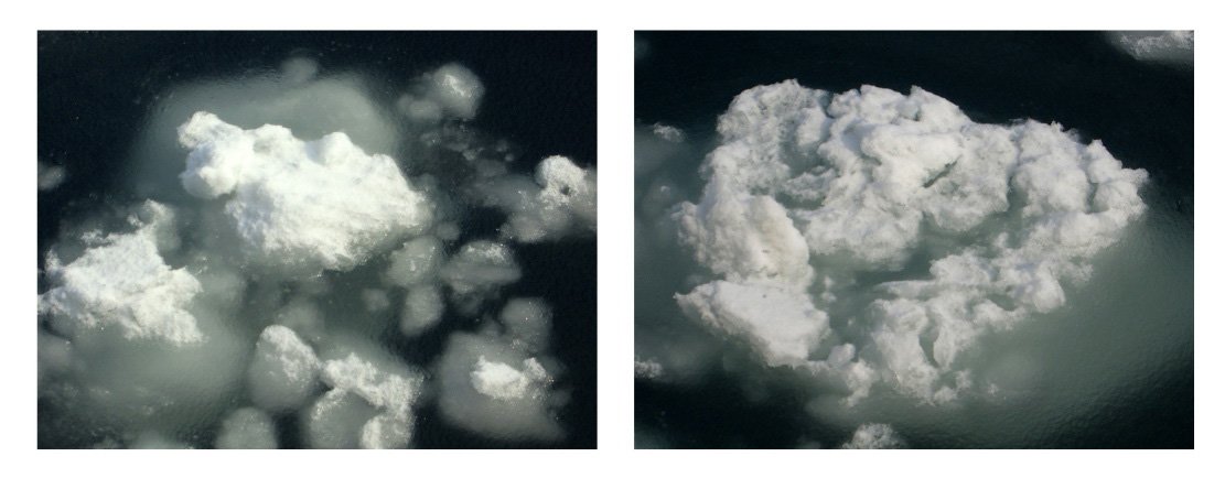 Contemporary Australian Photographers