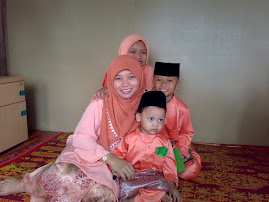 Hari Raya Aidilfitri 2008