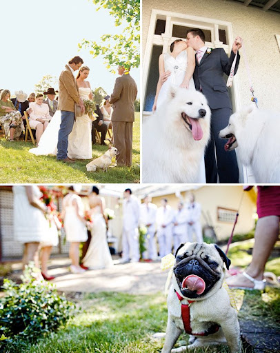 dog in your wedding party