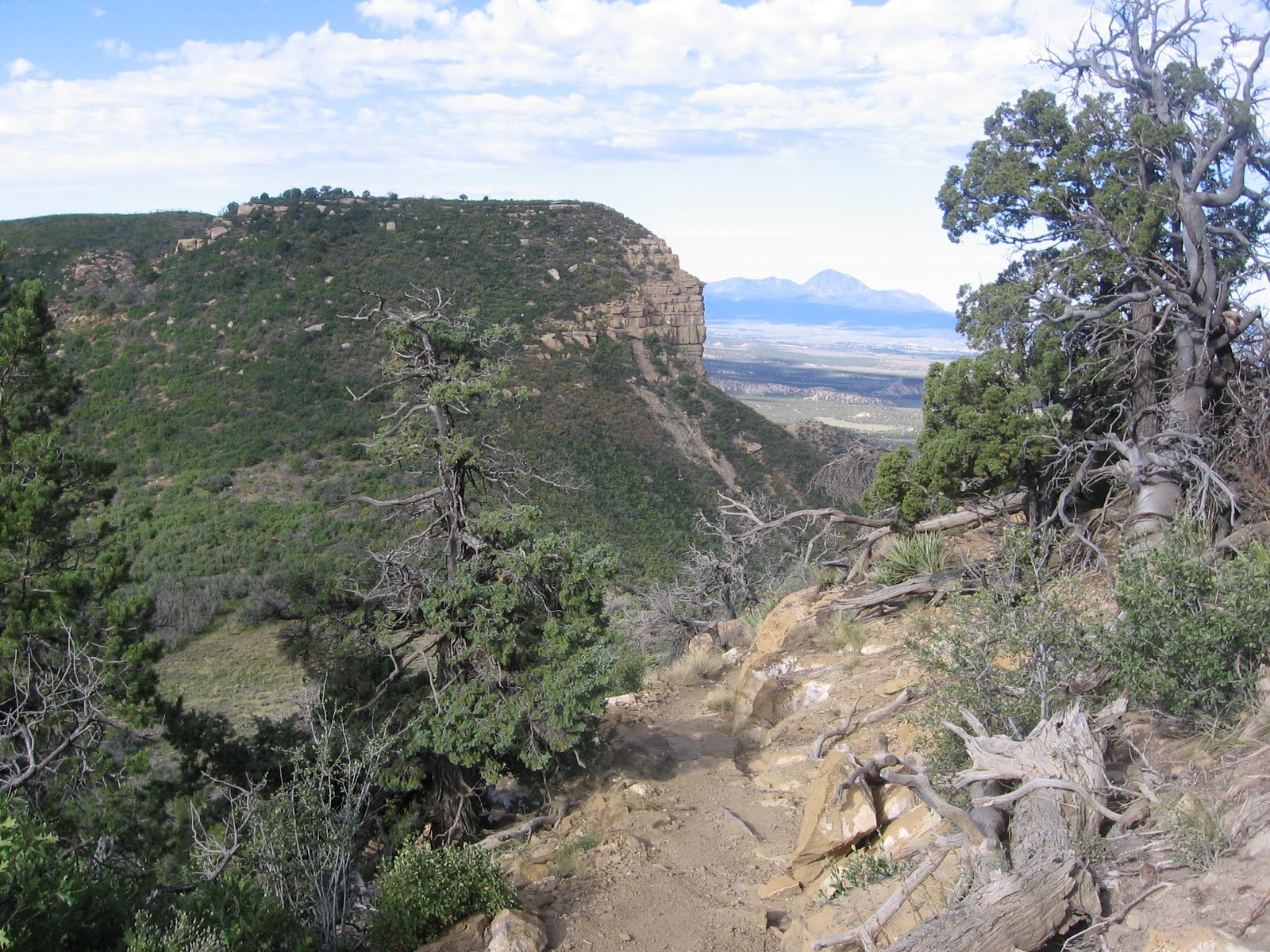 Four Corners HikesMesa Verde Point Lookout Trail