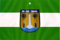 BANDEIRA MUNICIPAL DO ASSU