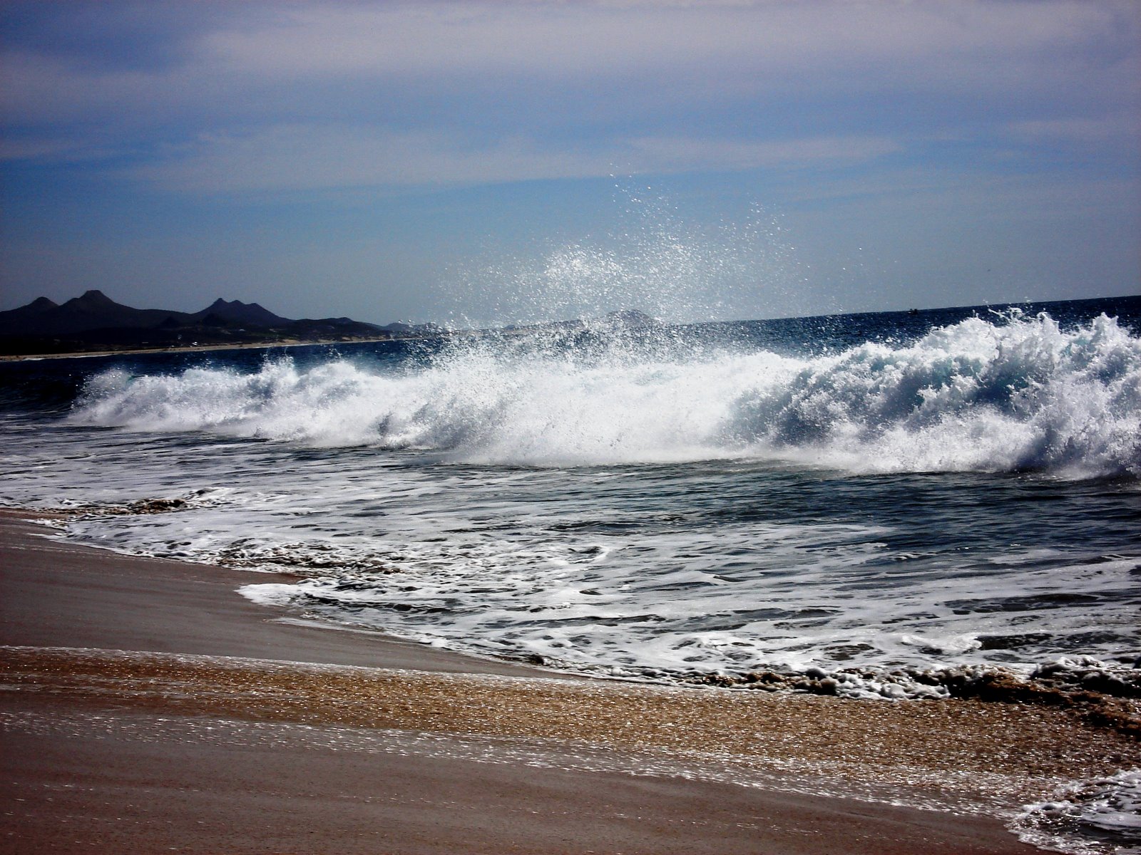 [Baja+Waves+Swallow+.jpg]