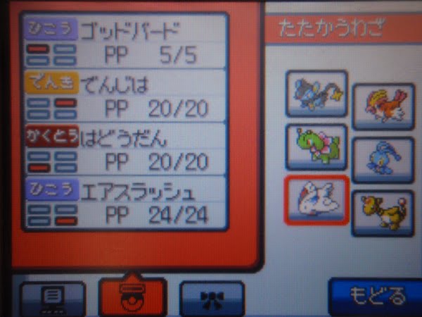 lv 100 pokemon