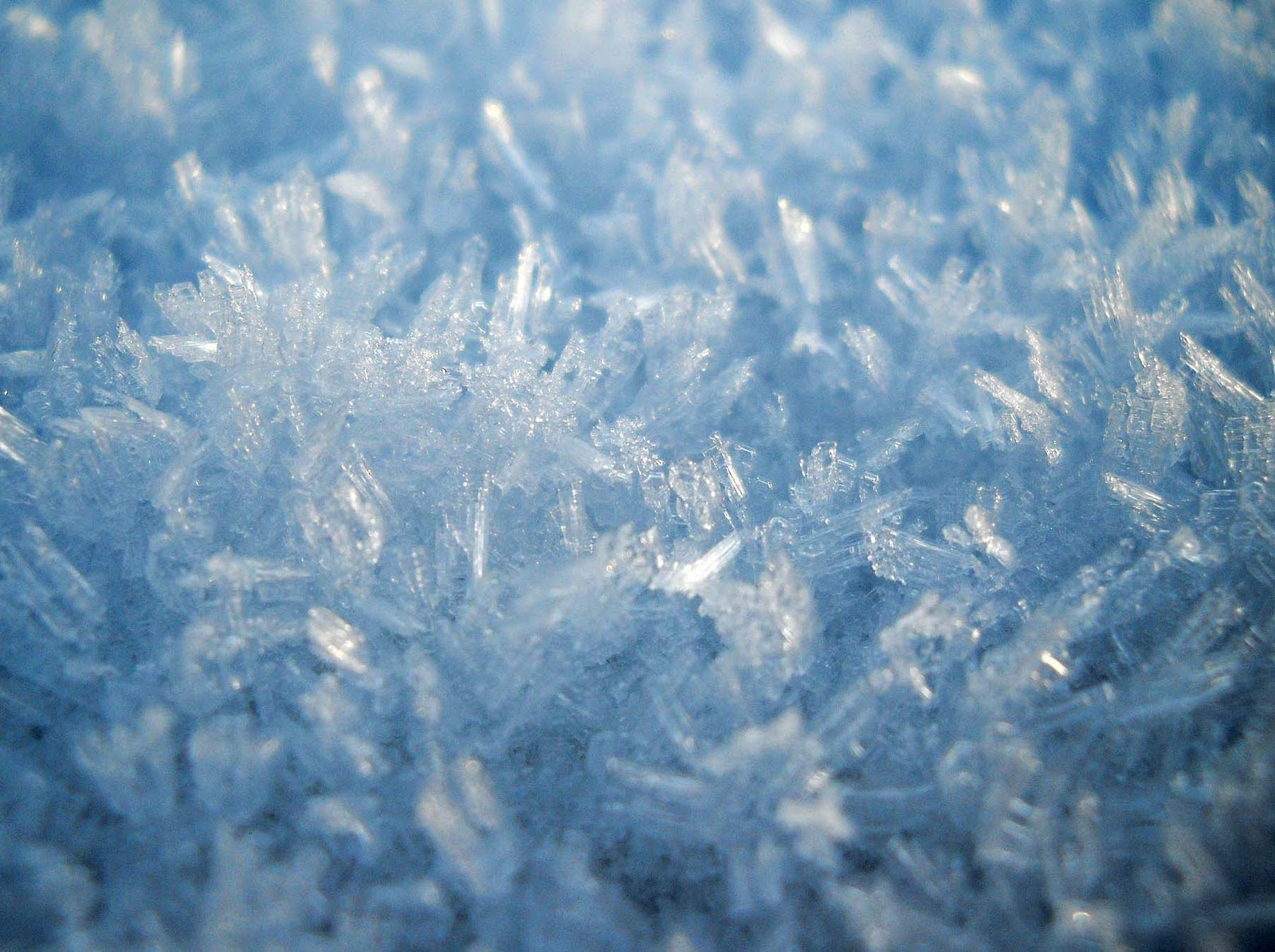 My Nature Photography Ice Crystals in Macro