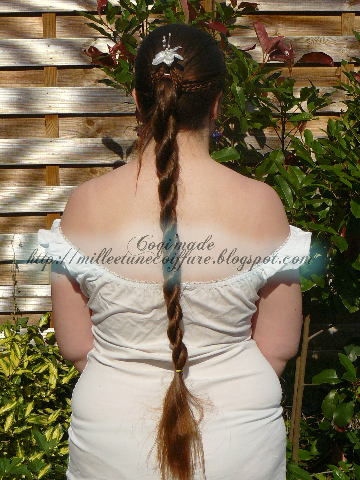 coiffure tresse deux brins