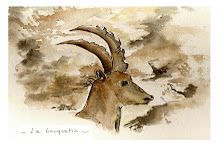 Le Bouquetin