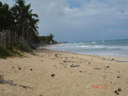 Terrenos en República Dominicana