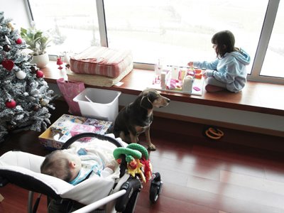 [SDC10082b.jpg]
