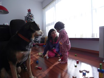 [SDC13155.JPG]