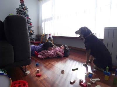 [SDC13168.JPG]