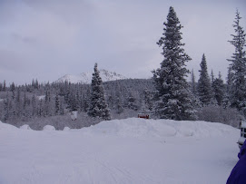 Snowshoeing--Chugach Park