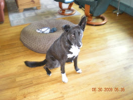 Lucy