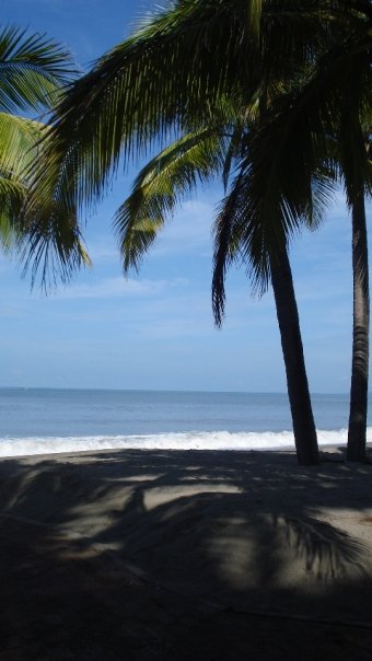 [vallartabeach.jpg]