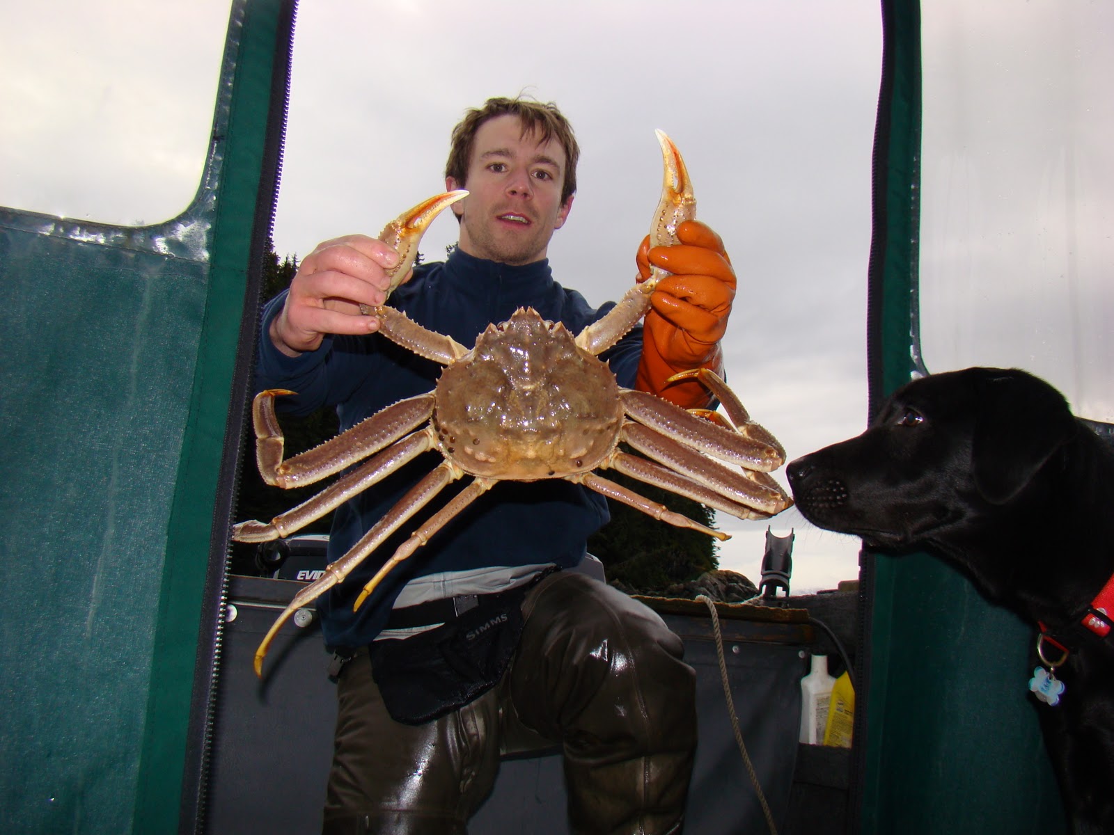 Where Ocean and Mountains Collide Tanner Crabs in Juneau