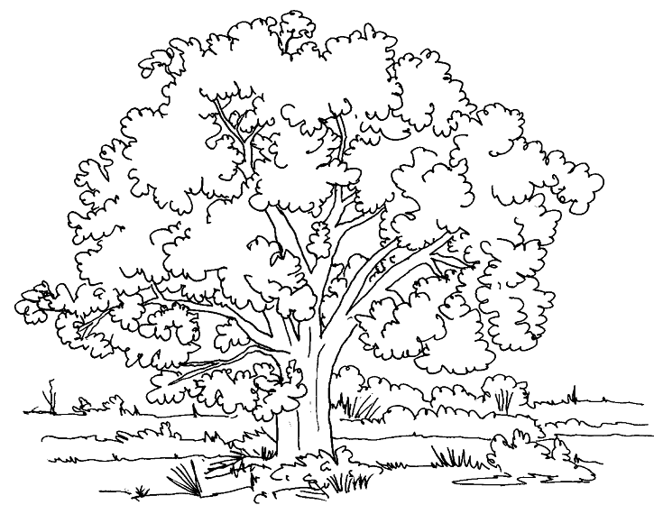 [arbre.gif]