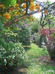 Una primavera ricca di colori