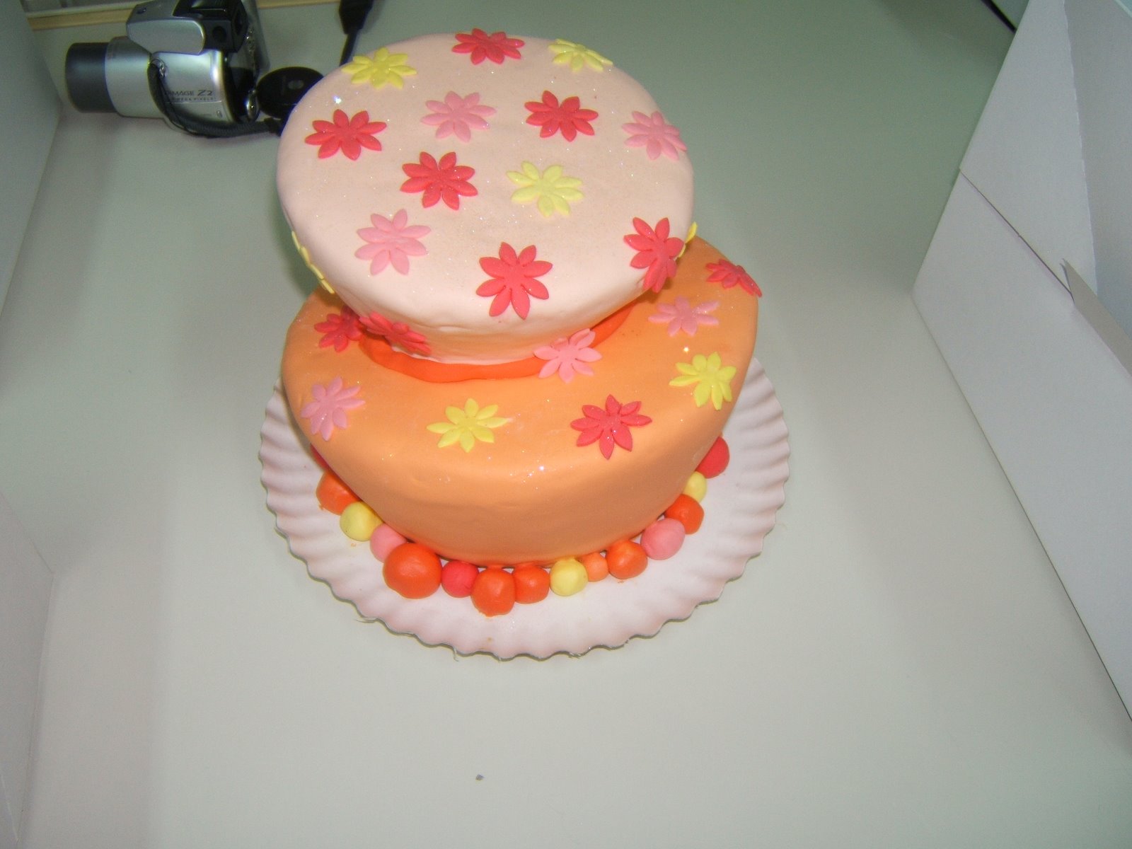 [DSCF0141.JPG]
