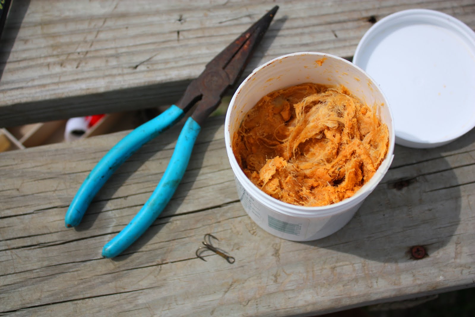 Christy Robbins Gone Fishin'....or A How To on Stink Bait Fishing