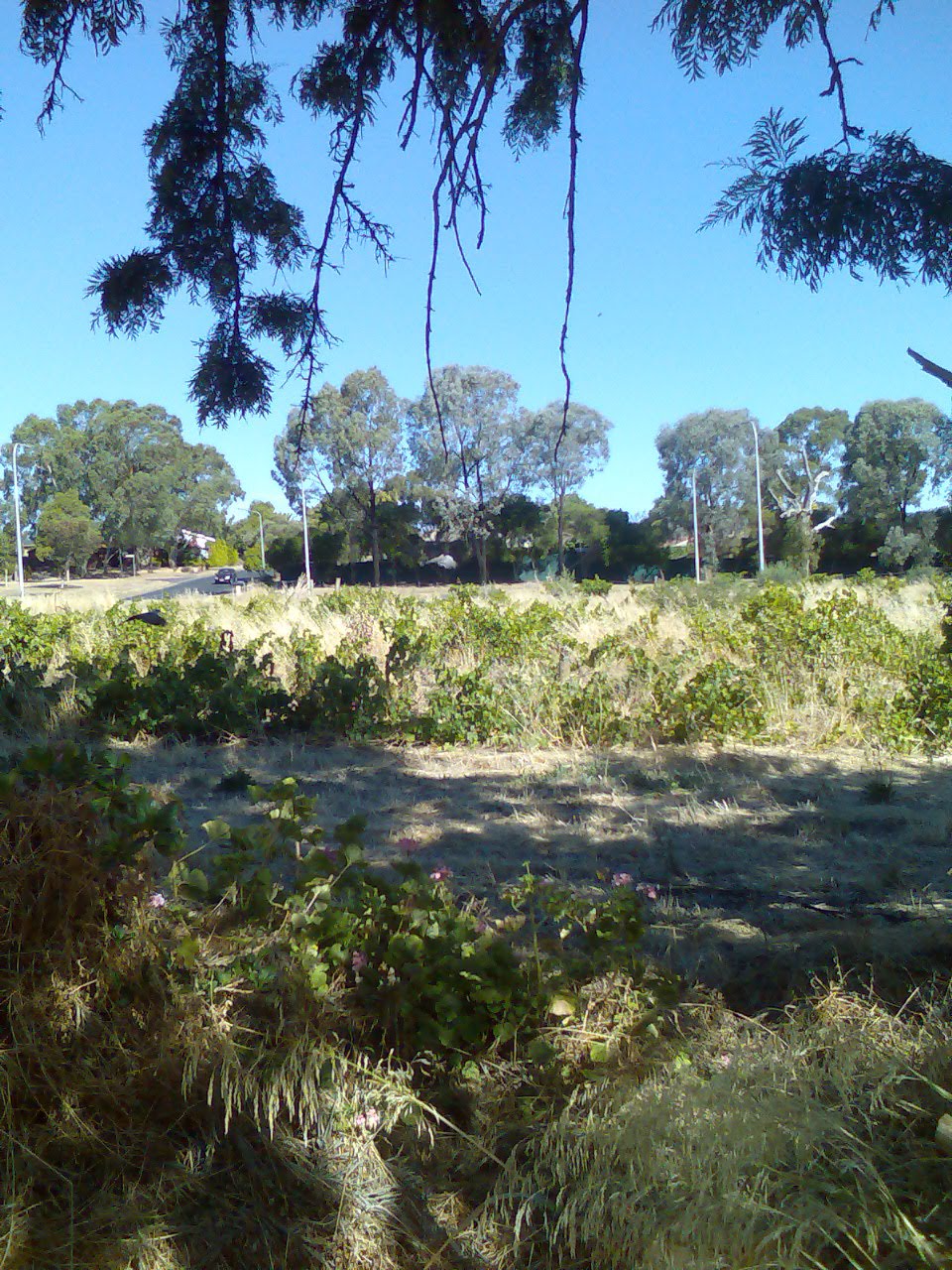 [Image018.jpg]