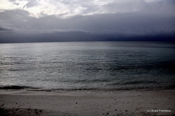 [_DSC3889.JPG]